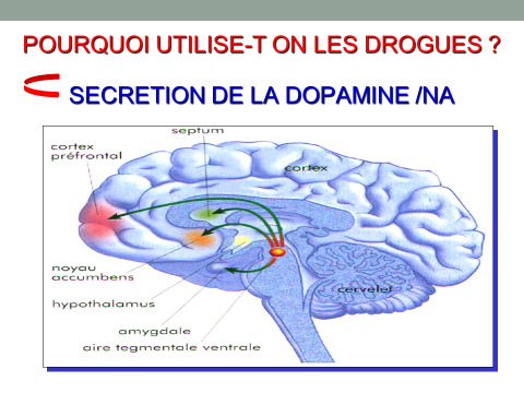 pourquoi utilise t'on les drogues