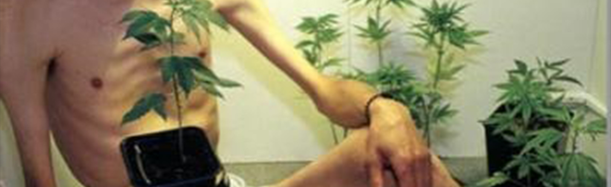 Slider Banner